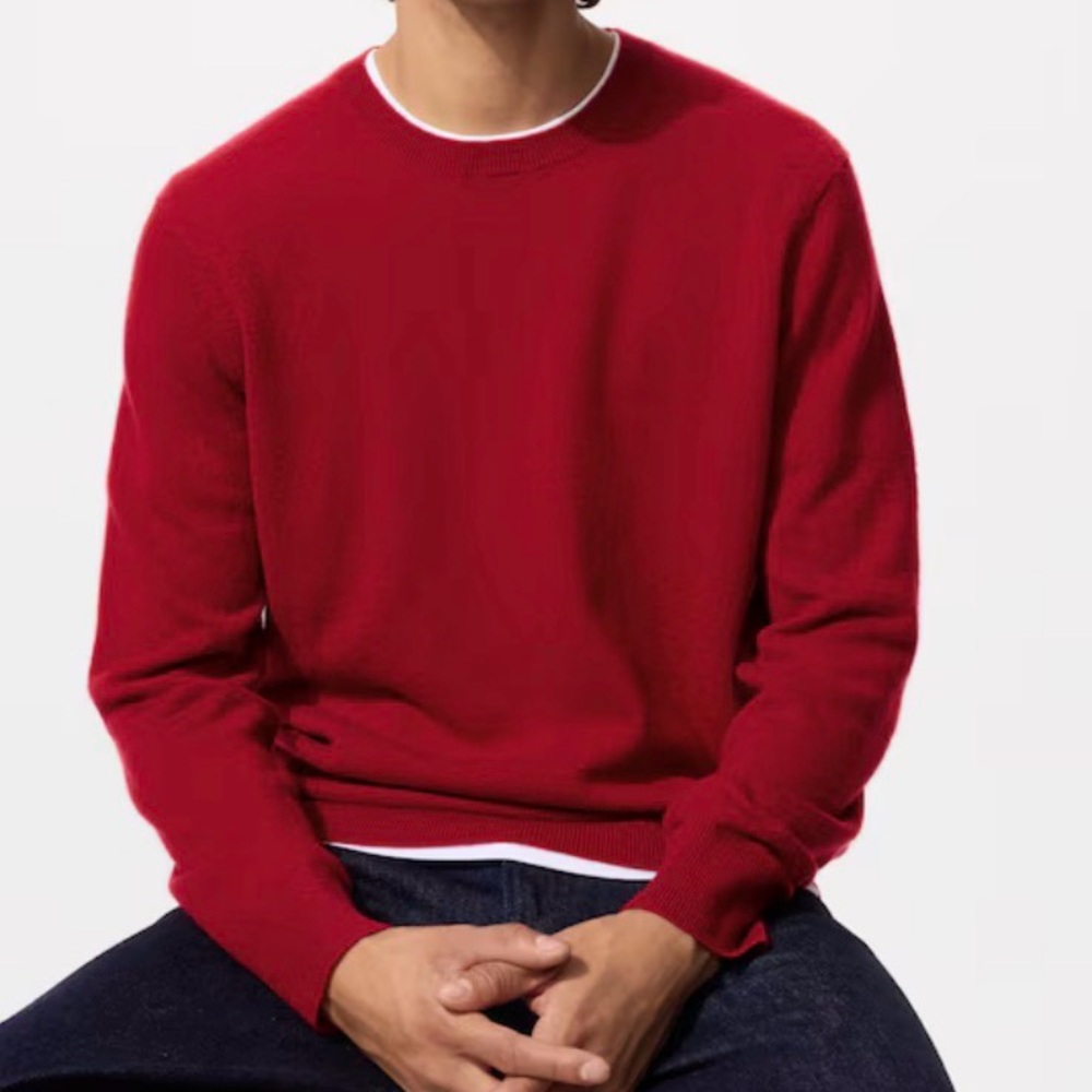 Express men’s L Concord Red merino wool long sleeve crew neck sweater NWT
